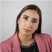 profesor de matematicas, estadistica y fisica